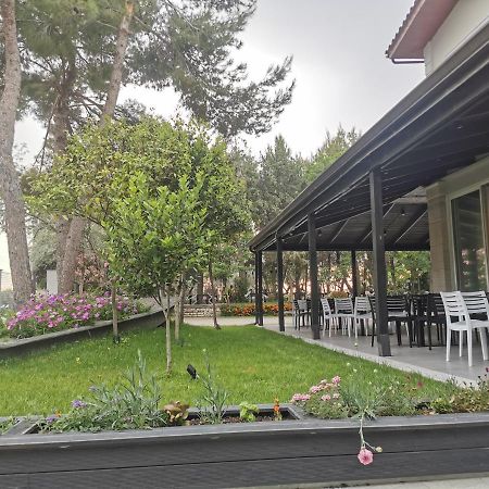 Hotel Pelikan Divjaka Exterior foto